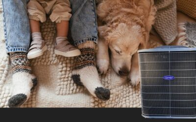 Keep It Cozy With Heat Pump Service in Bend