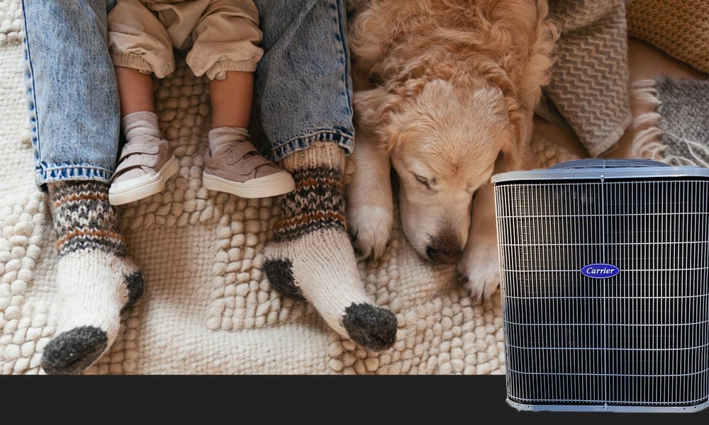 Heat pump service near me, family laying down