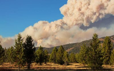 Protecting Your Home’s Air Quality During Central Oregon Wildfire Season